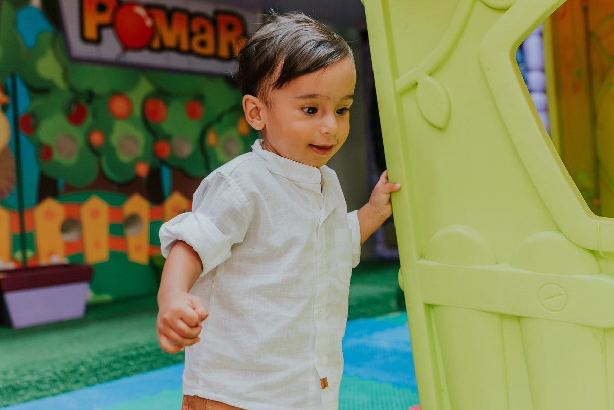 fotografia Rio de Janeiro festa infantil espaço diversão fotografa de familia 1 ano eduardo tema Mickey safari 