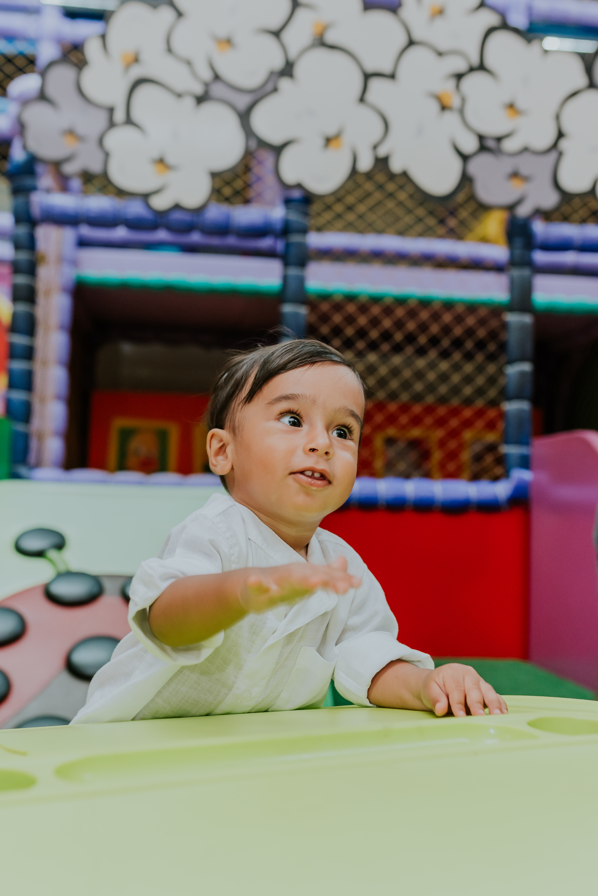 fotografia Rio de Janeiro festa infantil espaço diversão fotografa de familia 1 ano eduardo tema Mickey safari 