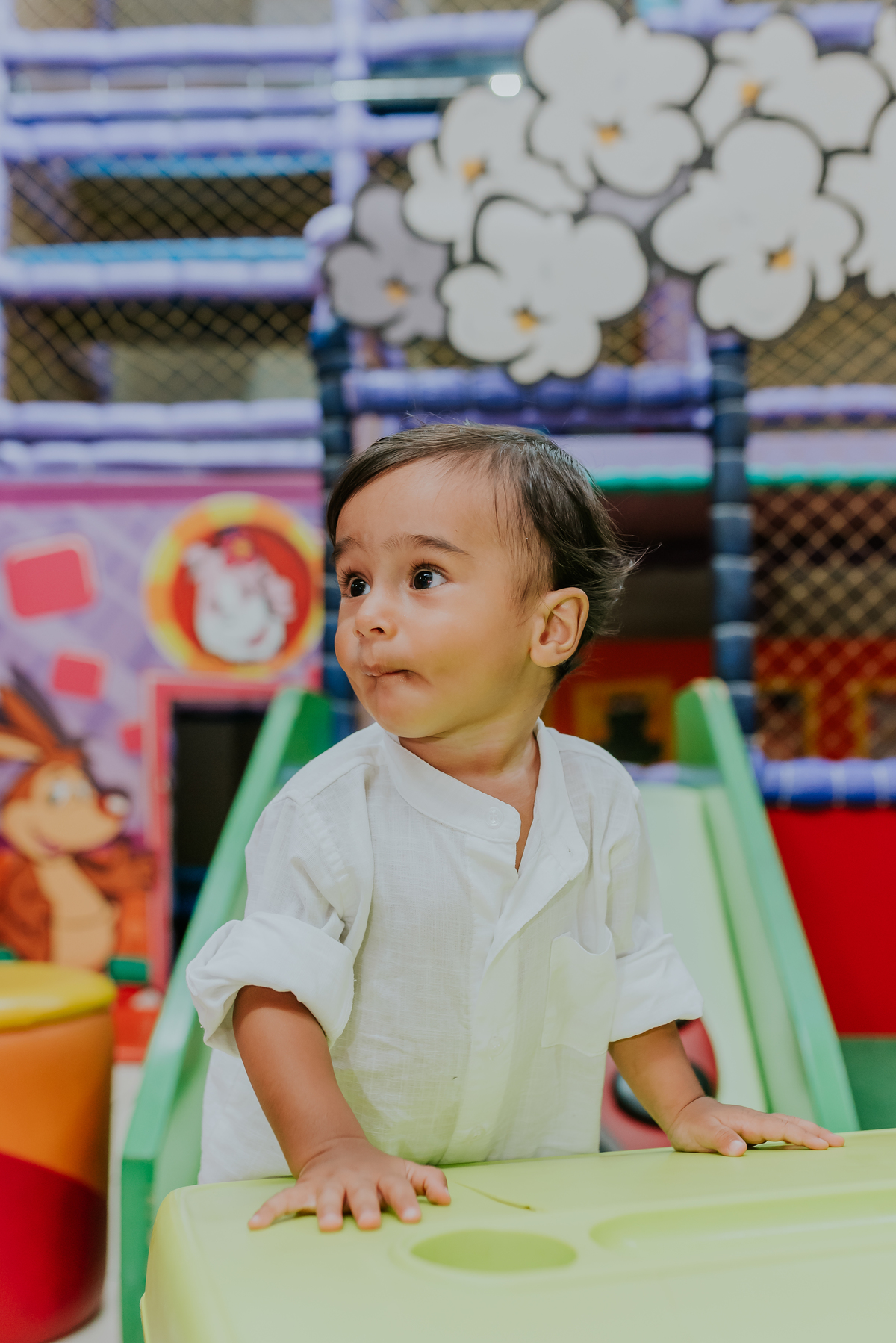 fotografia Rio de Janeiro festa infantil espaço diversão fotografa de familia 1 ano eduardo tema Mickey safari 