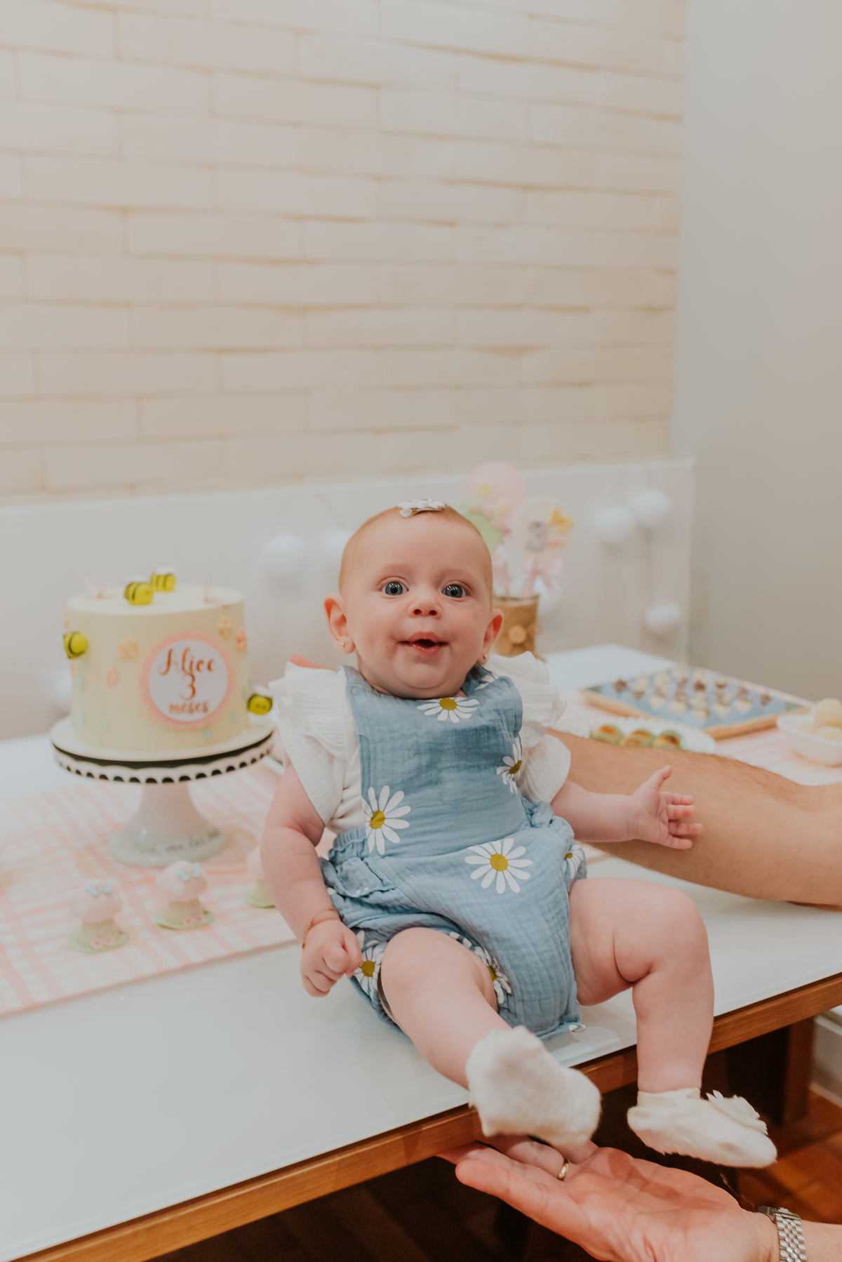 fotografia ensaio de familia em casa acompanhamento 3 meses Alice Rio de Janeiro Ipanema 