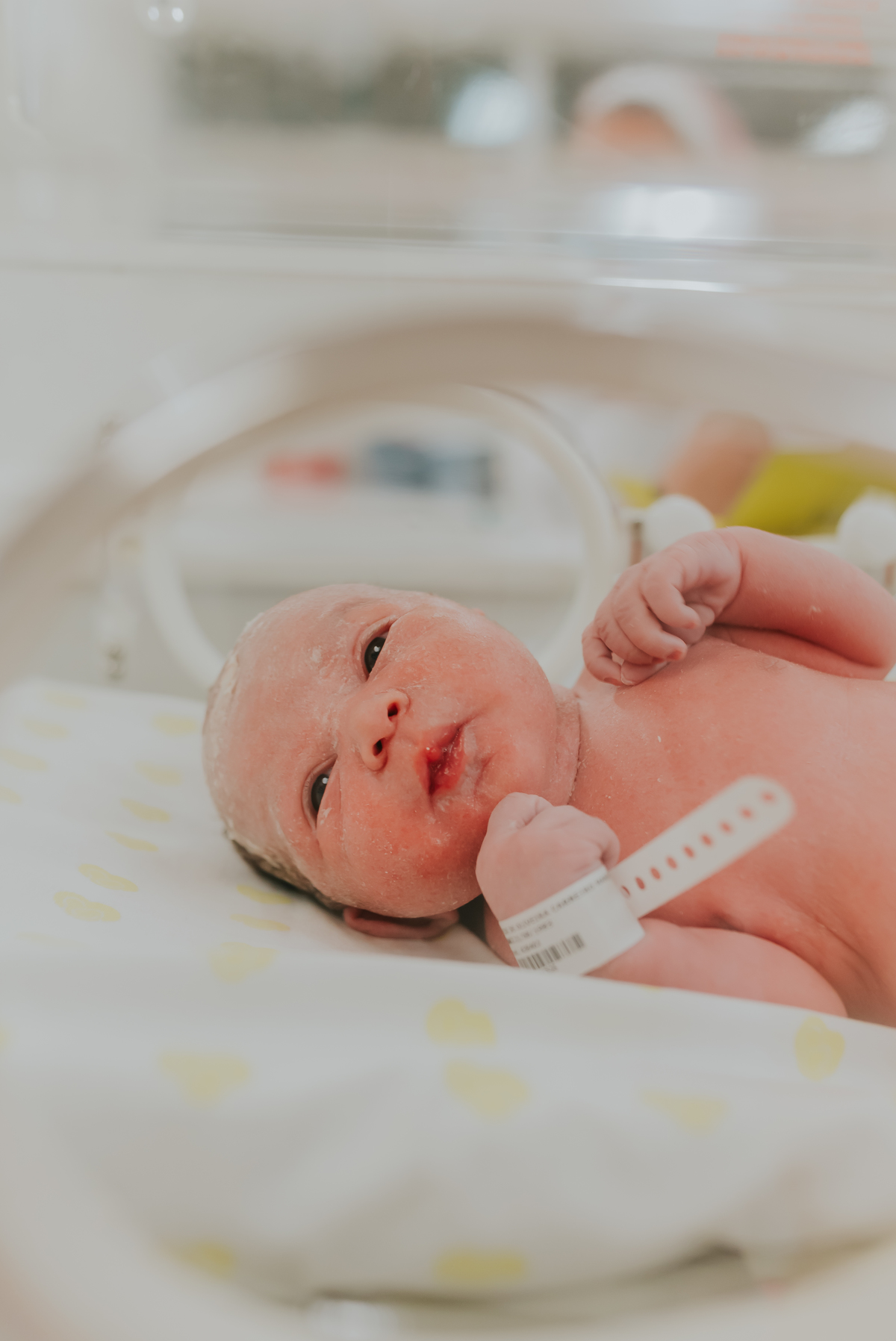 fotografia parto nascimento cesarea gloria dor Rio de Janeiro rj fotografa familia 