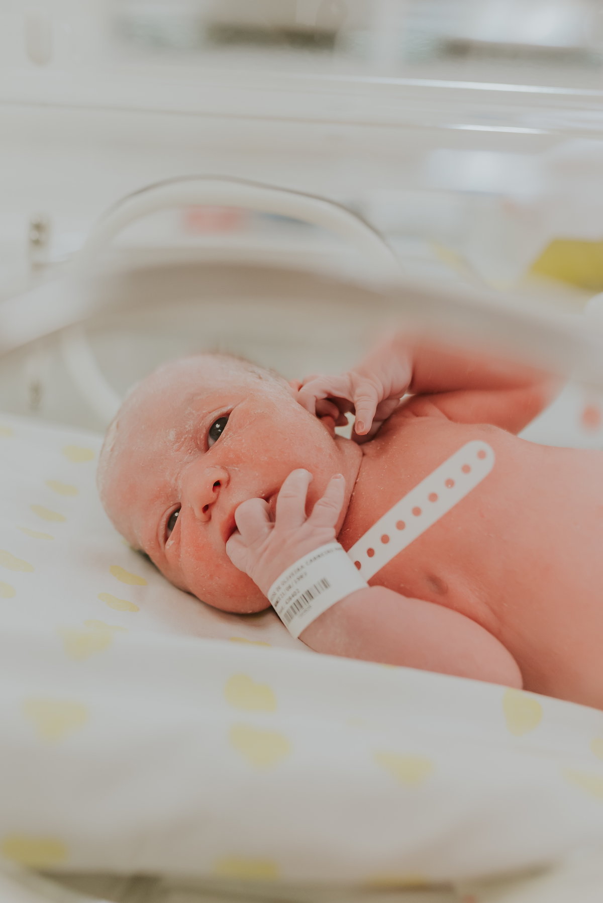 fotografia parto nascimento cesarea gloria dor Rio de Janeiro rj fotografa familia 