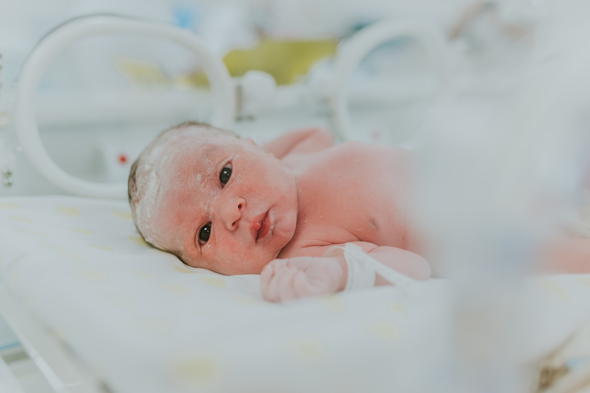 fotografia parto nascimento cesarea gloria dor Rio de Janeiro rj fotografa familia 