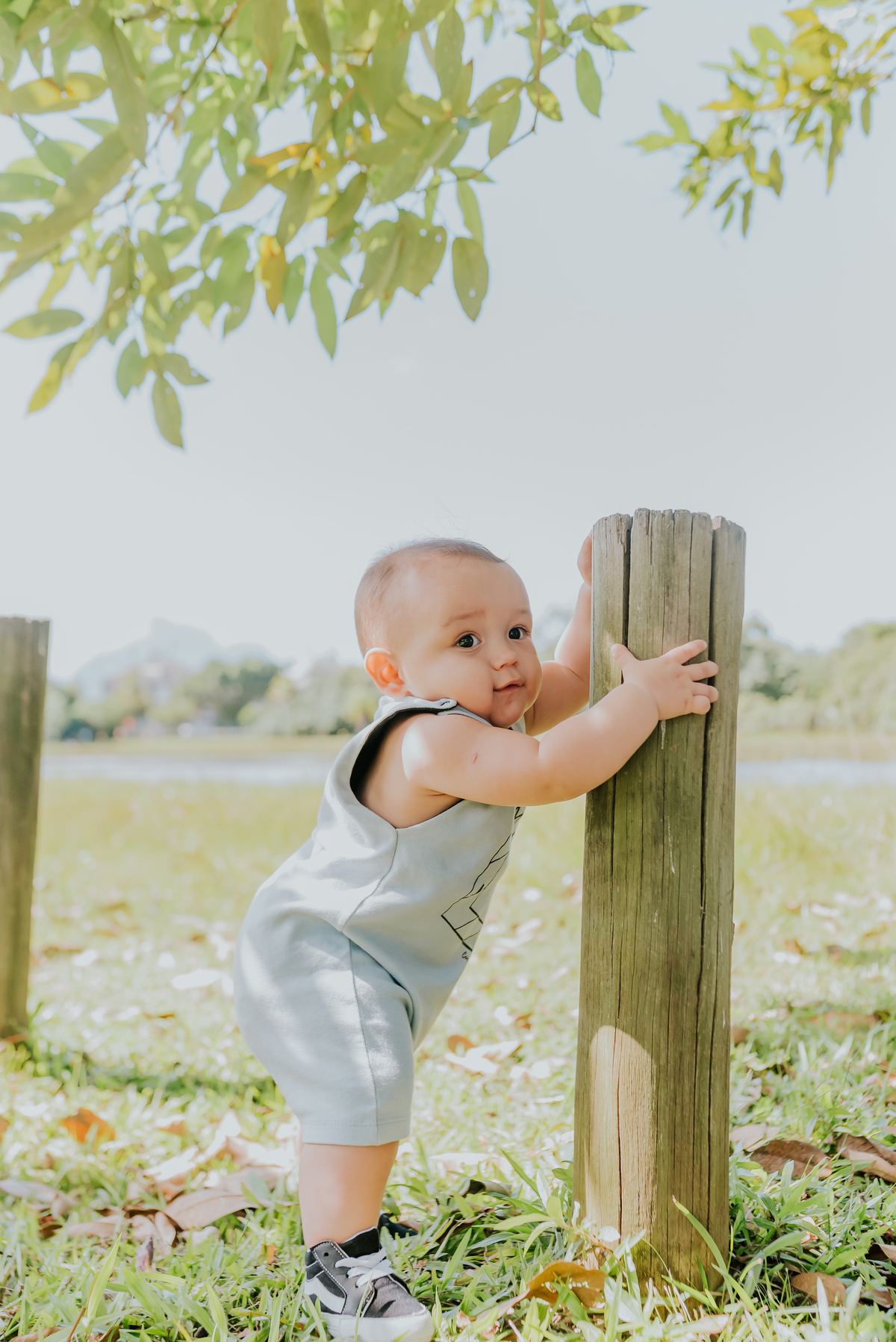 fotografia ensaio familia externo Rio de Janeiro bosque da barra da Tijuca rj fotografa 