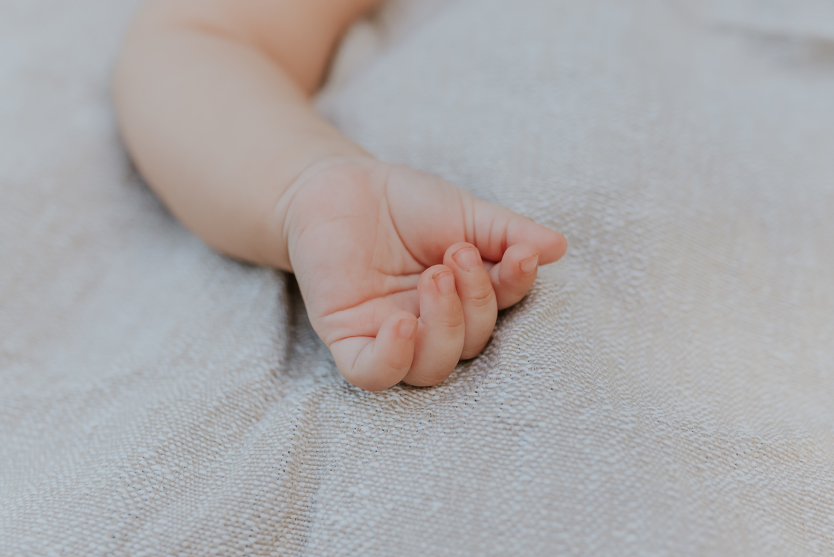 fotografia ensaio familia externo Rio de Janeiro bosque da barra da Tijuca rj fotografa 