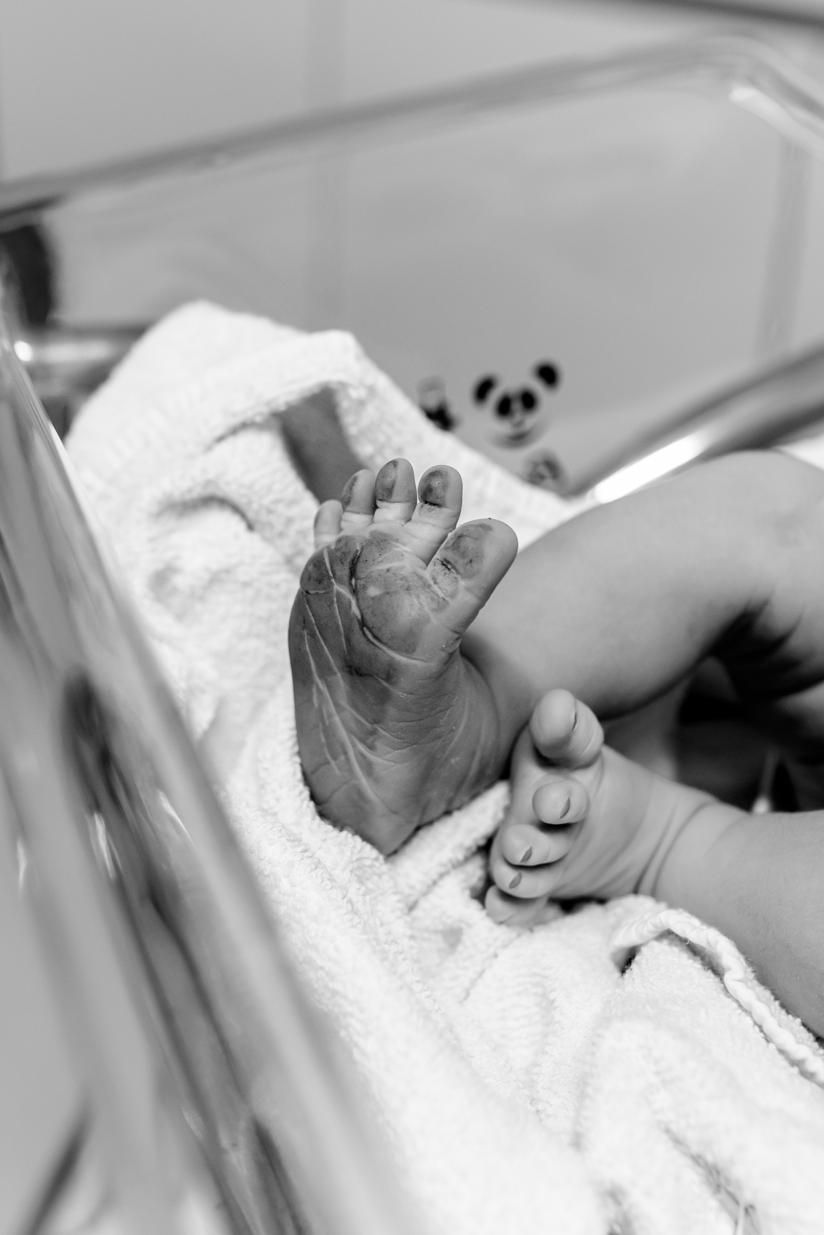 fotografia nascimento parto bernardo gloria dor Rio de Janeiro rj fotografa familia 