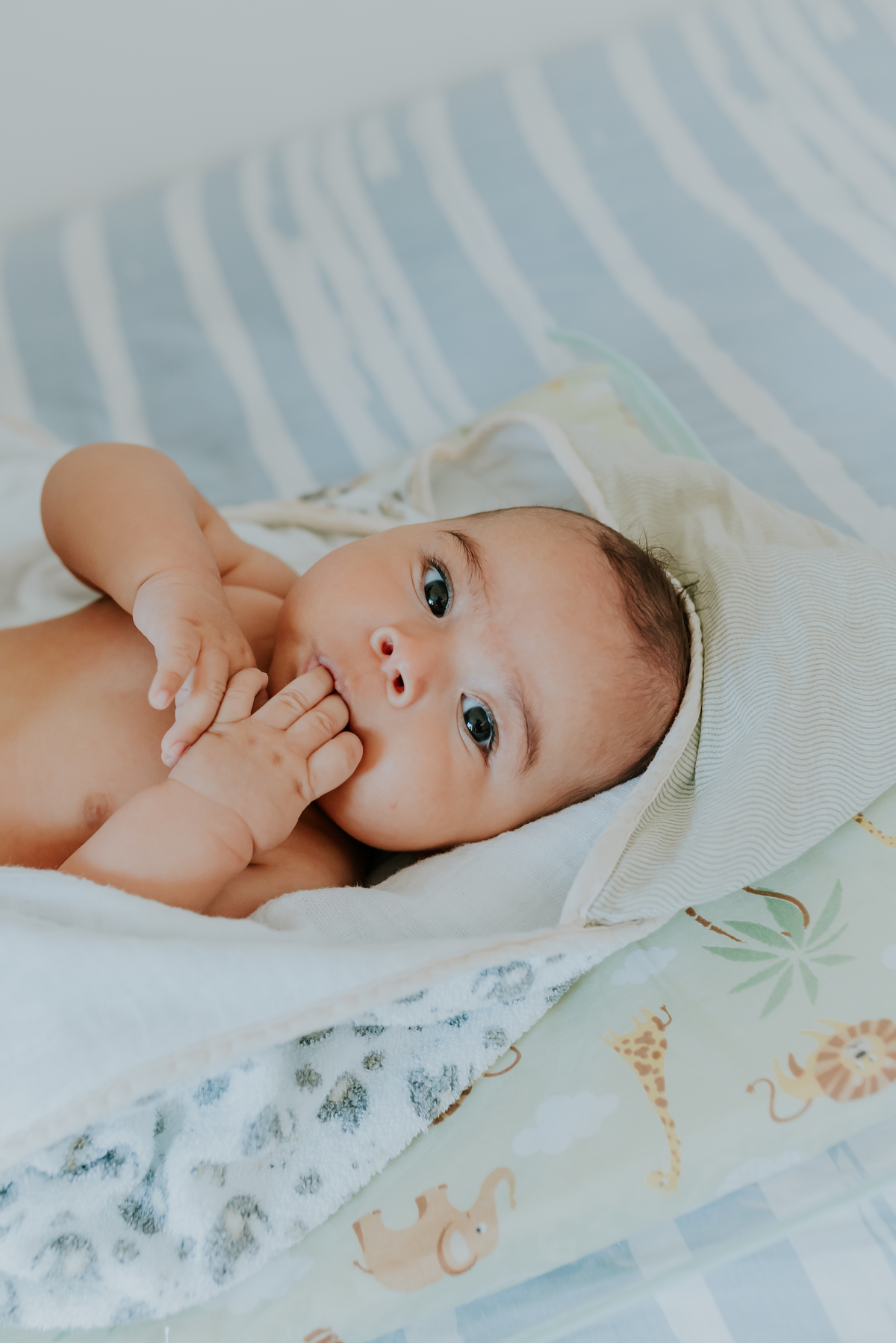 fotografia ensaio familia em casa acompanhamento Theo 5 meses ilha do governador fotografa rio de janeiro