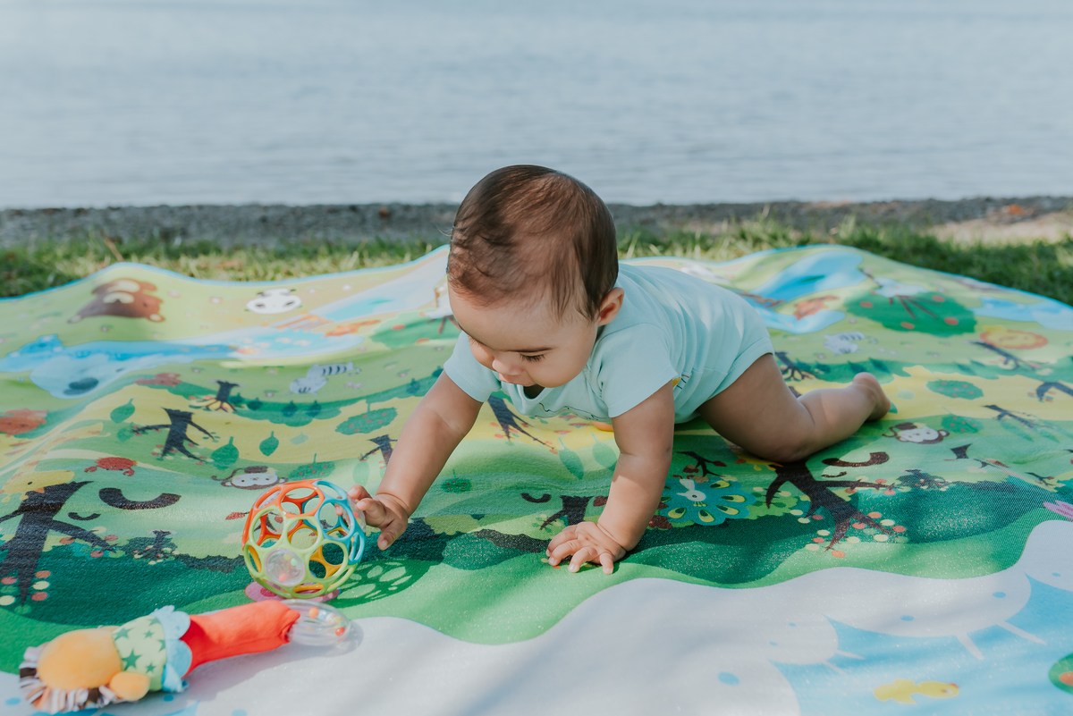 fotografia ensaio família externo quebra coco ilha do governador 8 meses do Theo acompanhamento rio de janeiro