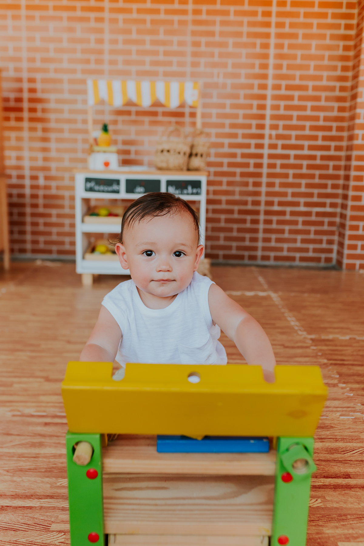 fotografia festa infantil tema raposa Rio de Janeiro 1 ano Nicolas fotografa familia recreio