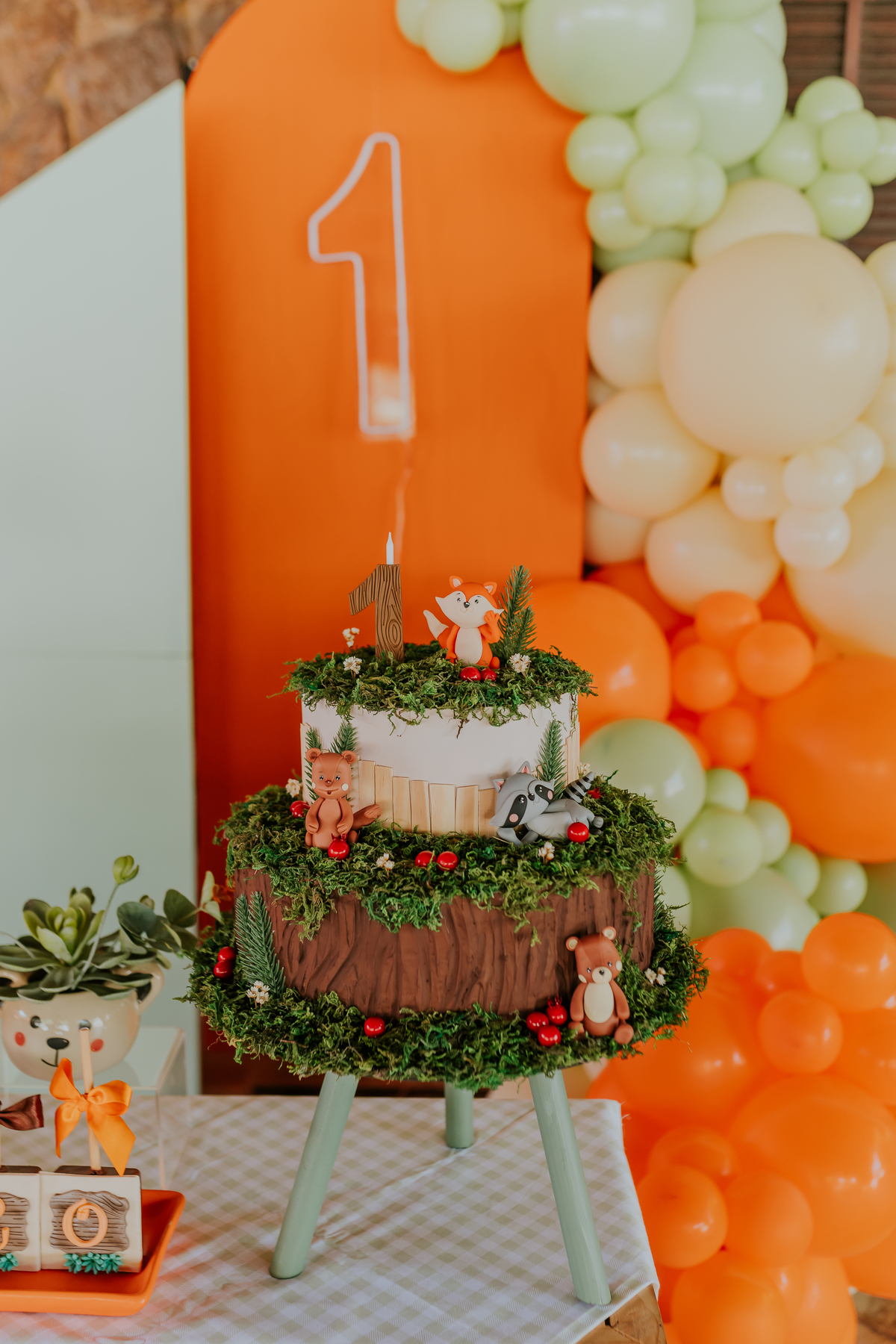 fotografia festa infantil tema raposa Rio de Janeiro 1 ano Nicolas fotografa familia recreio