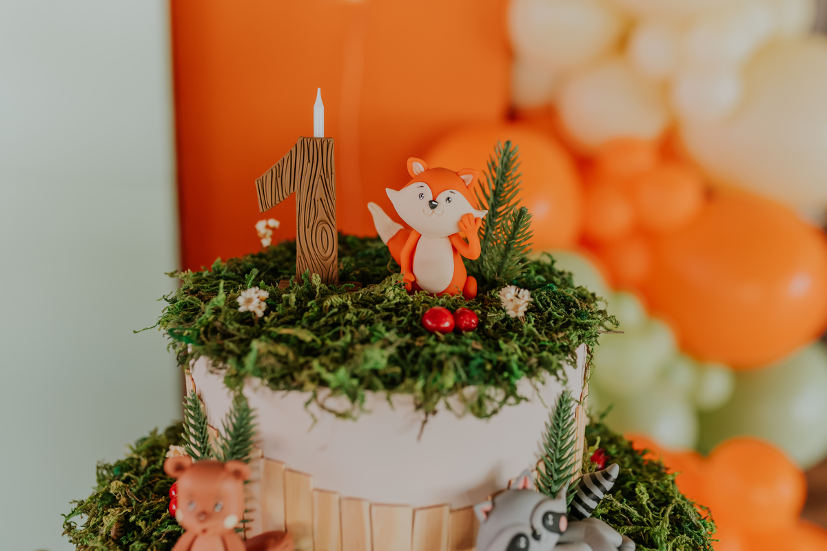 fotografia festa infantil tema raposa Rio de Janeiro 1 ano Nicolas fotografa familia recreio