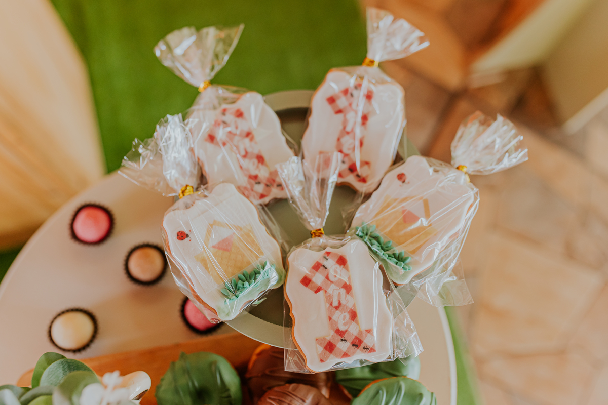 fotografia festa infantil tema raposa Rio de Janeiro 1 ano Nicolas fotografa familia recreio