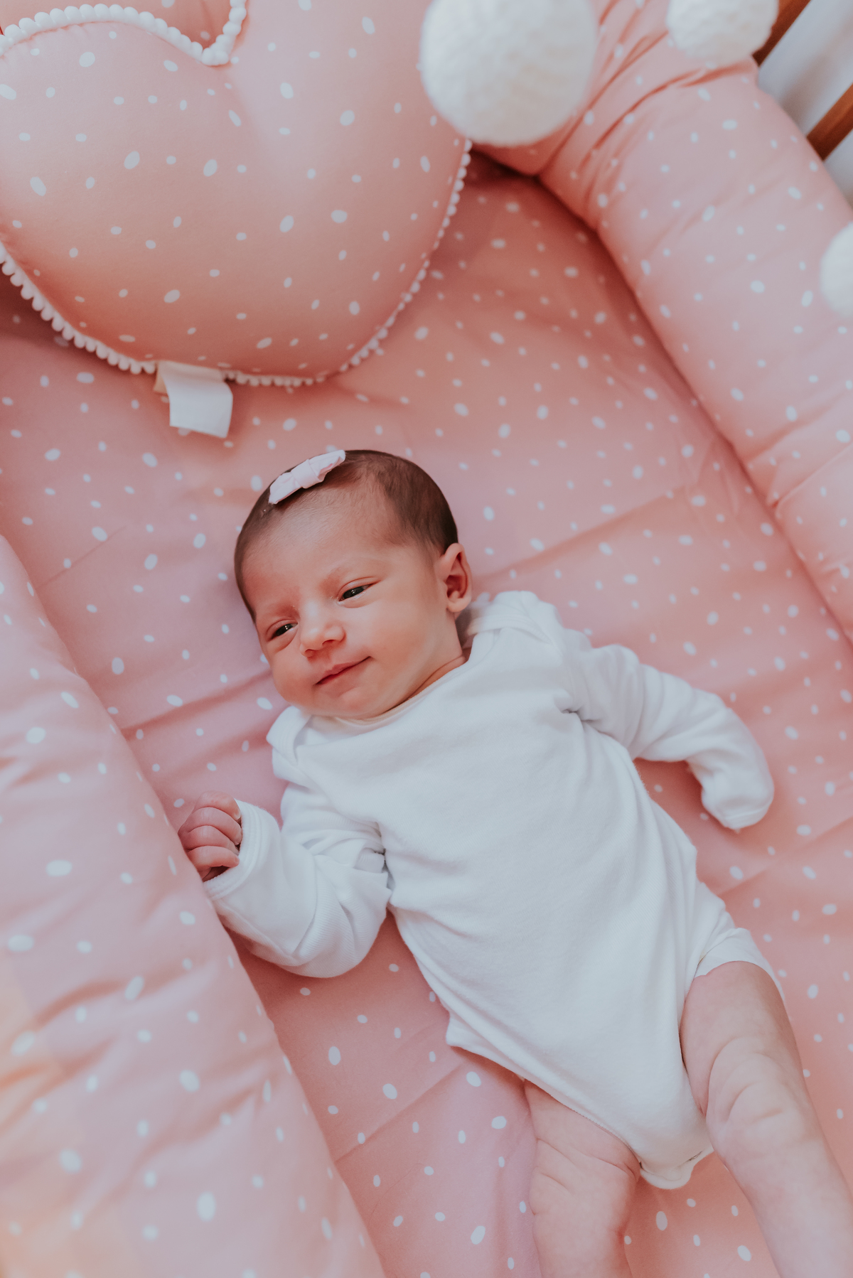 fotografia familia ensaio em casa primeiro dias acompanhamento Cecília Rio de Janeiro Tijuca fotografa 