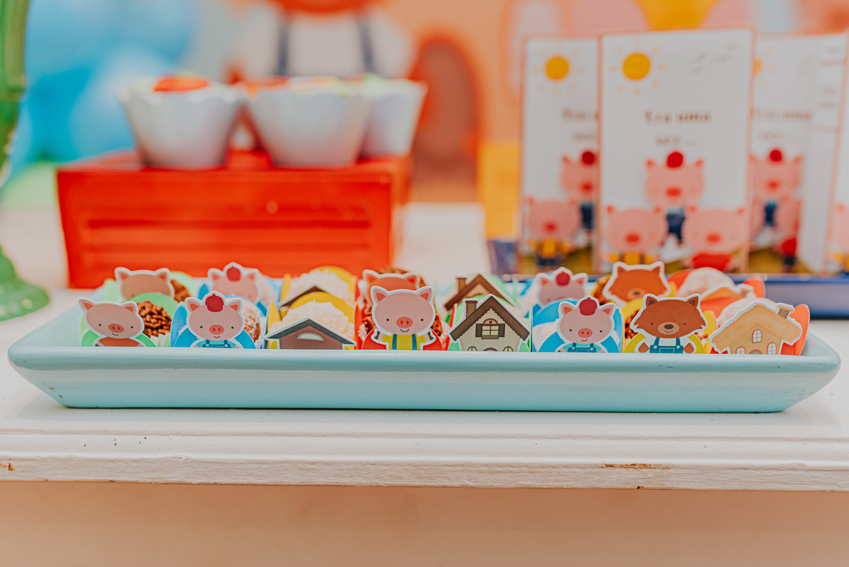 fotografia festa infantil jacapregua Rio de Janeiro fotografa familia 3 anos Antonio tema 3 porquinhos casa de festas dreams