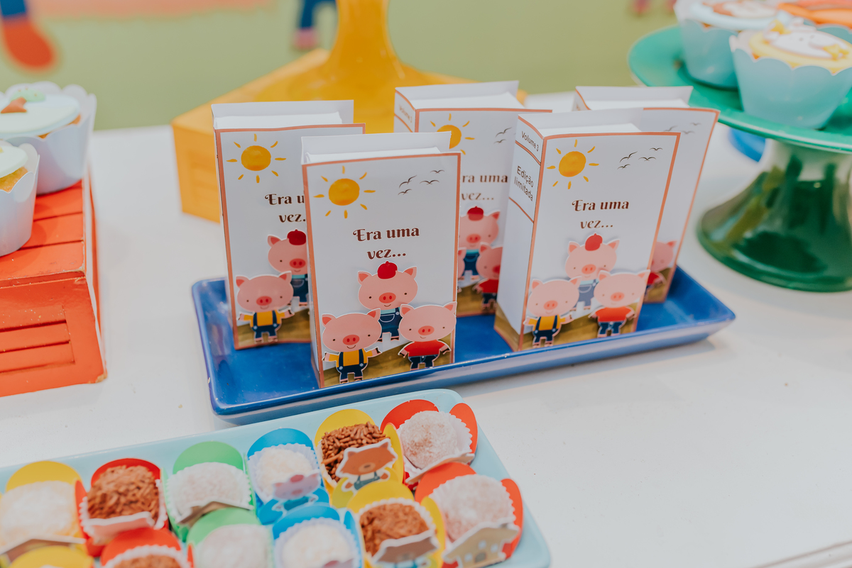 fotografia festa infantil jacapregua Rio de Janeiro fotografa familia 3 anos Antonio tema 3 porquinhos casa de festas dreams