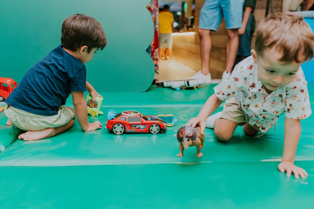 fotografia festa infantil jacapregua Rio de Janeiro fotografa familia 3 anos Antonio tema 3 porquinhos casa de festas dreams