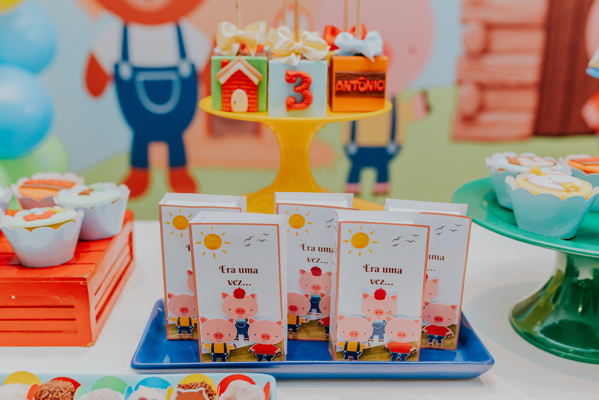 fotografia festa infantil jacapregua Rio de Janeiro fotografa familia 3 anos Antonio tema 3 porquinhos casa de festas dreams