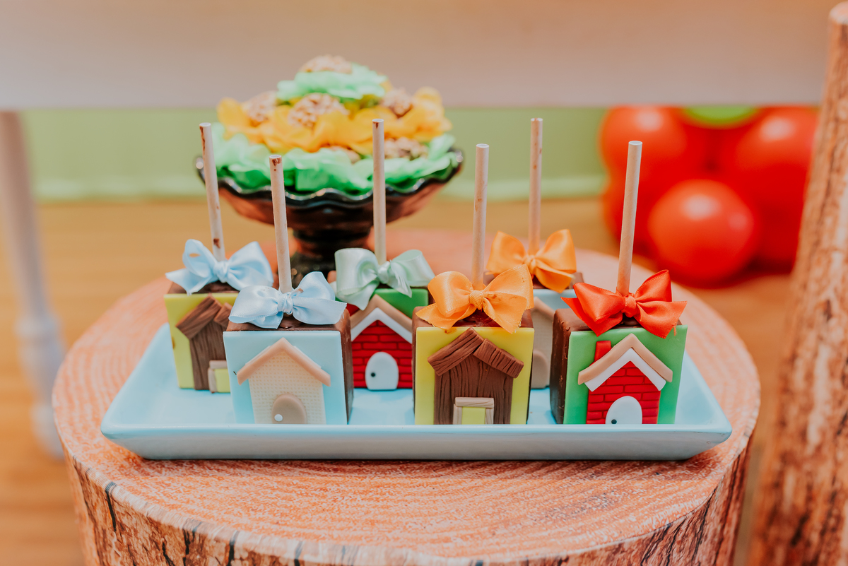 fotografia festa infantil jacapregua Rio de Janeiro fotografa familia 3 anos Antonio tema 3 porquinhos casa de festas dreams