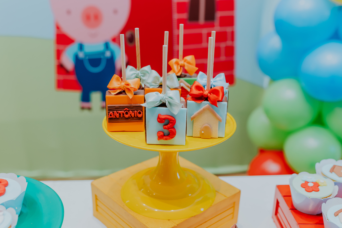 fotografia festa infantil jacapregua Rio de Janeiro fotografa familia 3 anos Antonio tema 3 porquinhos casa de festas dreams