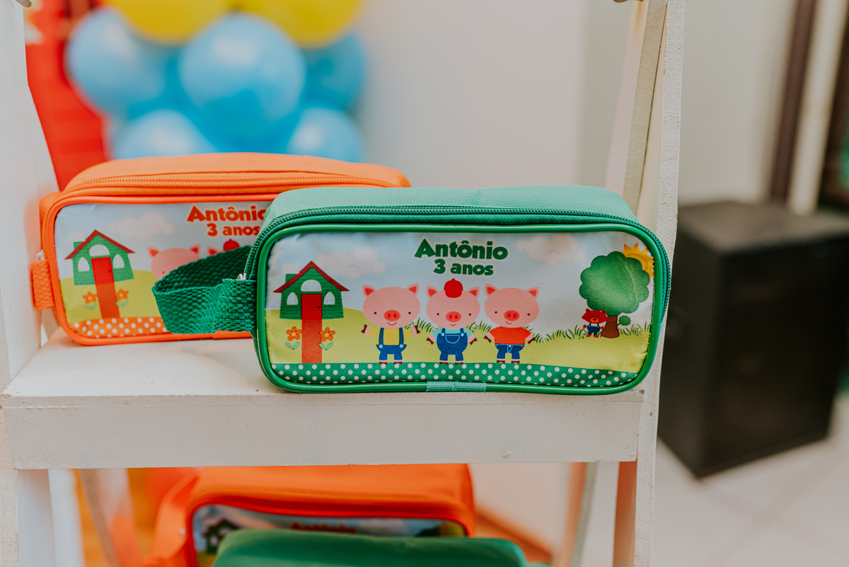 fotografia festa infantil jacapregua Rio de Janeiro fotografa familia 3 anos Antonio tema 3 porquinhos casa de festas dreams