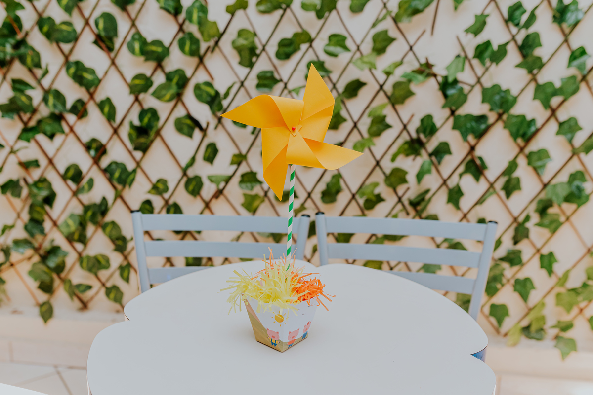 fotografia festa infantil jacapregua Rio de Janeiro fotografa familia 3 anos Antonio tema 3 porquinhos casa de festas dreams