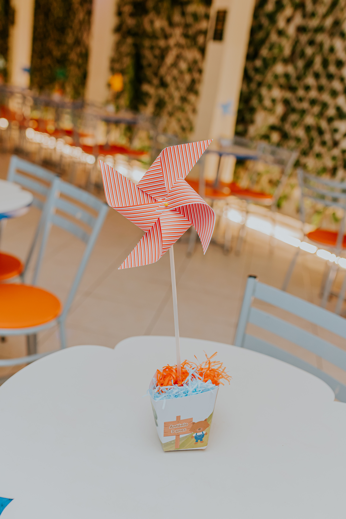 fotografia festa infantil jacapregua Rio de Janeiro fotografa familia 3 anos Antonio tema 3 porquinhos casa de festas dreams