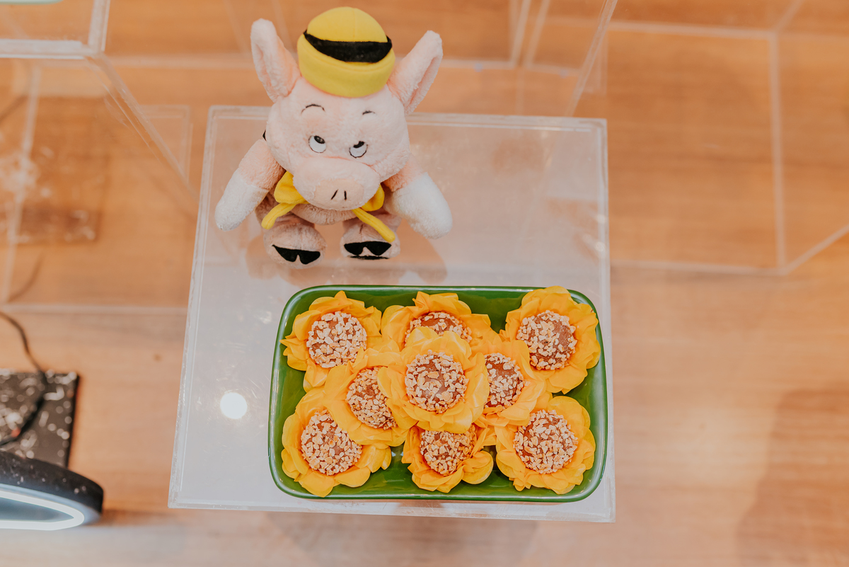 fotografia festa infantil jacapregua Rio de Janeiro fotografa familia 3 anos Antonio tema 3 porquinhos casa de festas dreams