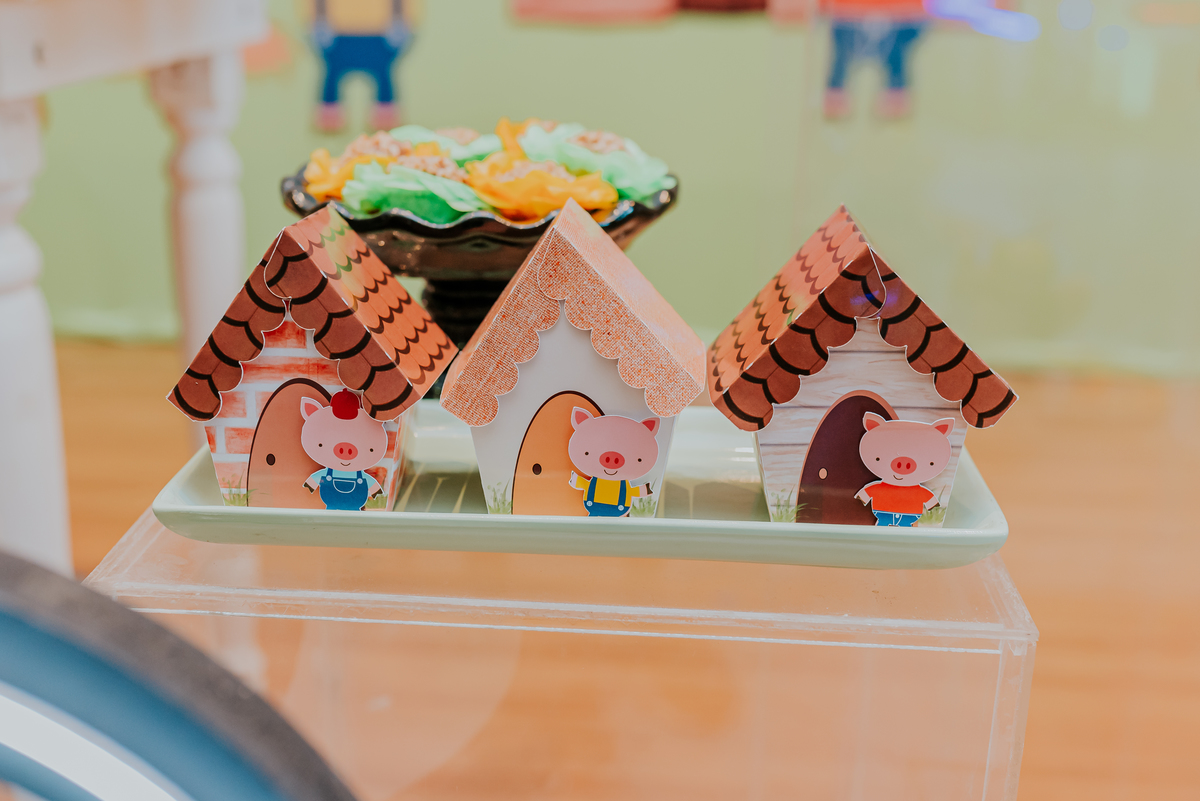 fotografia festa infantil jacapregua Rio de Janeiro fotografa familia 3 anos Antonio tema 3 porquinhos casa de festas dreams