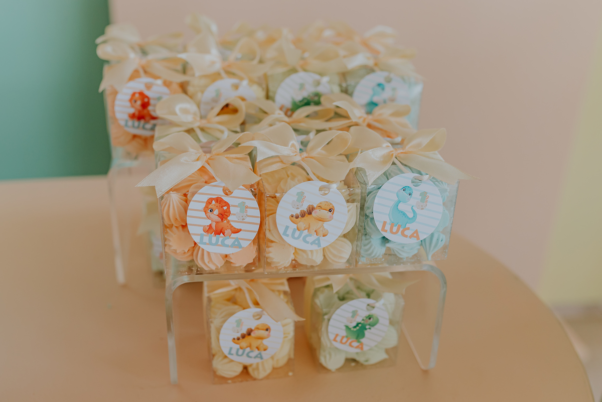 fotografia festa infantil 1 ano luca tema dinosauro ilha do governador jardim Guanabara Rio de Janeiro fotografa familia