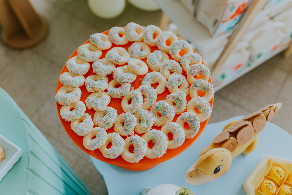 fotografia festa infantil 1 ano luca tema dinosauro ilha do governador jardim Guanabara Rio de Janeiro fotografa familia