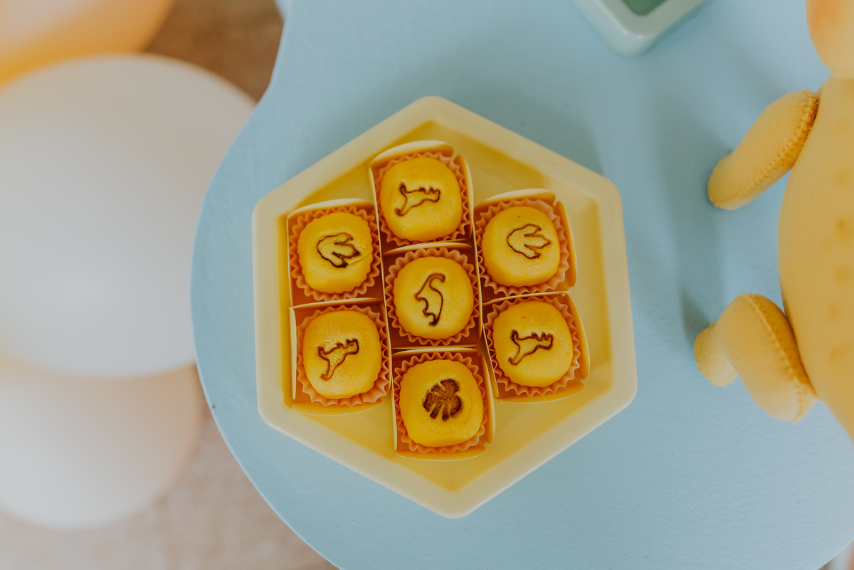 fotografia festa infantil 1 ano luca tema dinosauro ilha do governador jardim Guanabara Rio de Janeiro fotografa familia