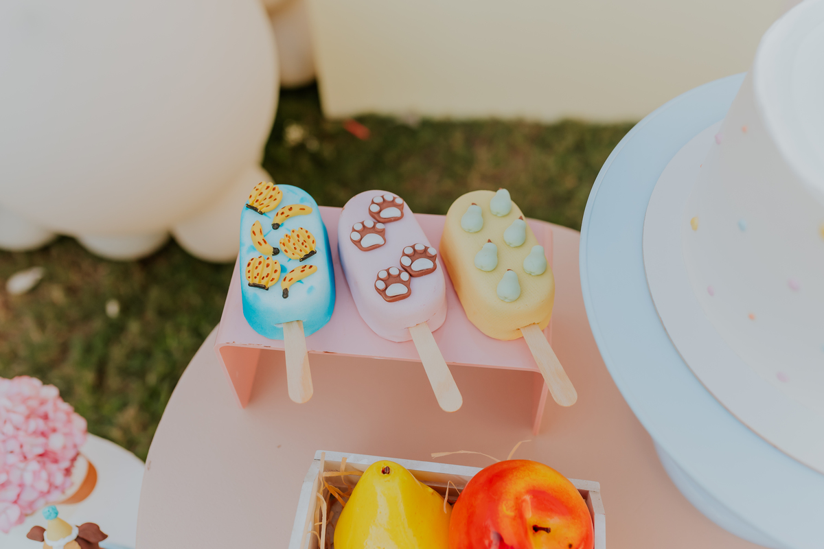 fotografia festa infantil 1 ano ilha do governador jardim Guanabara fotografa familia ao ar livre 