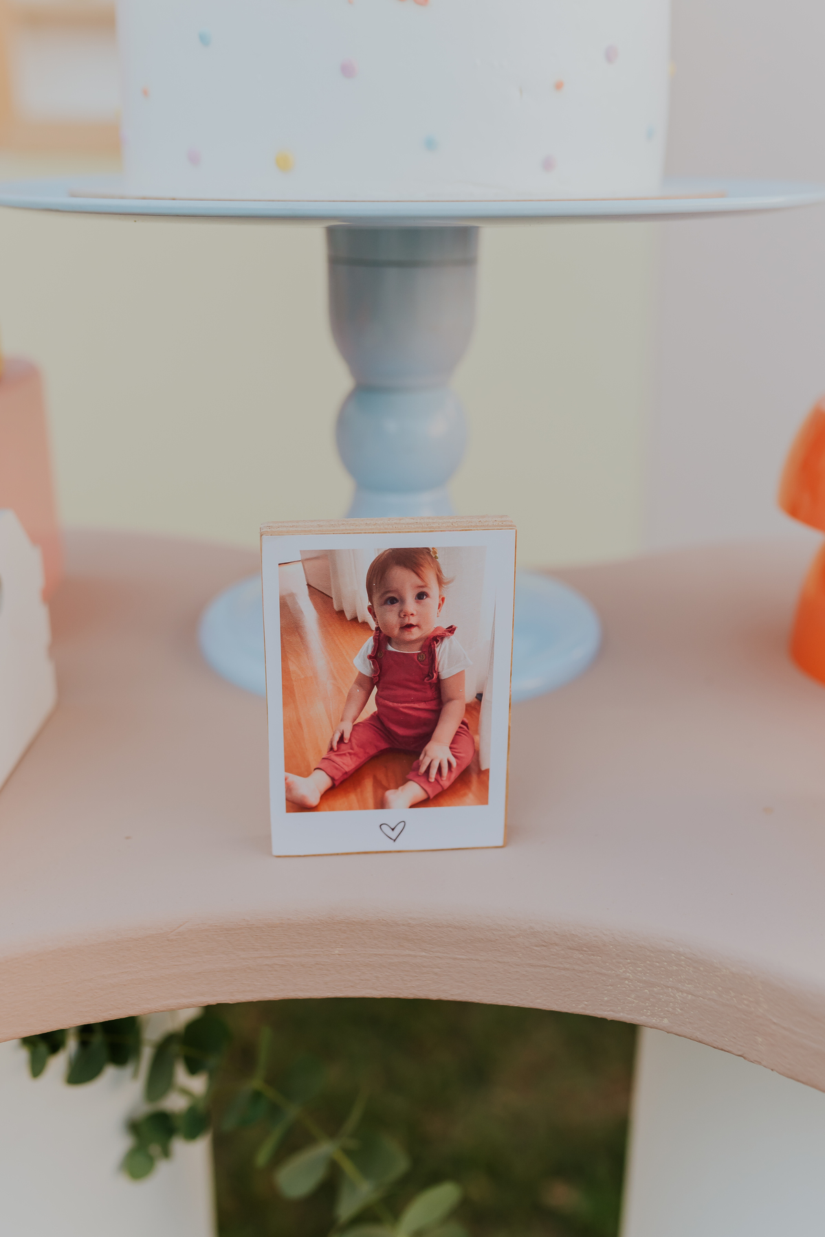 fotografia festa infantil 1 ano ilha do governador jardim Guanabara fotografa familia ao ar livre 