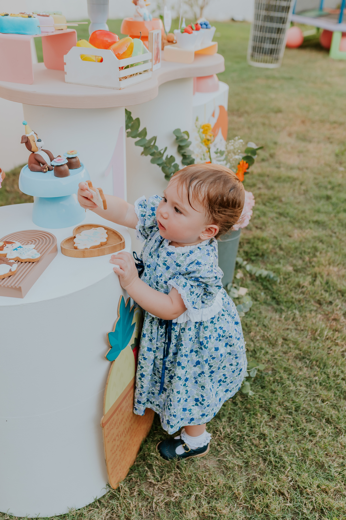 fotografia festa infantil 1 ano ilha do governador jardim Guanabara fotografa familia ao ar livre 