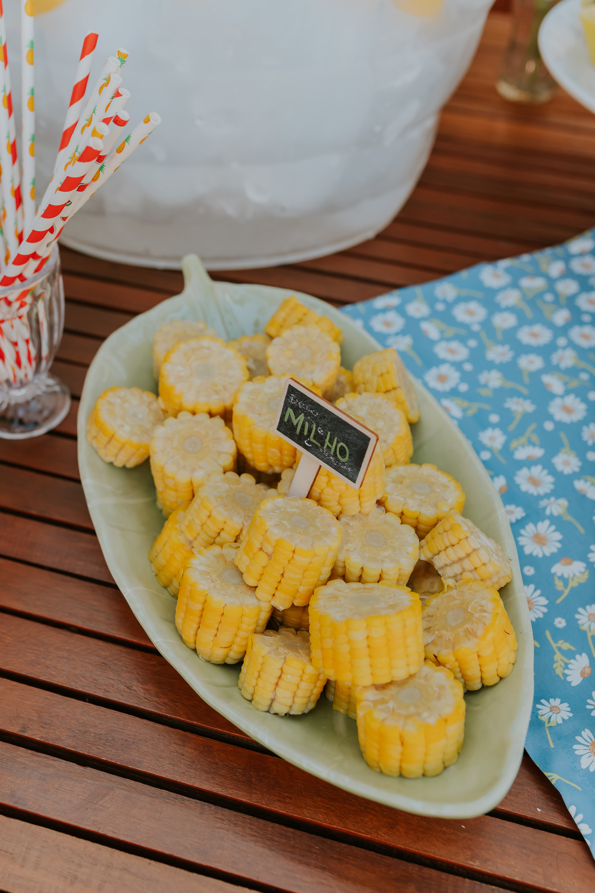 fotografia festa infantil 1 ano ilha do governador jardim Guanabara fotografa familia ao ar livre 