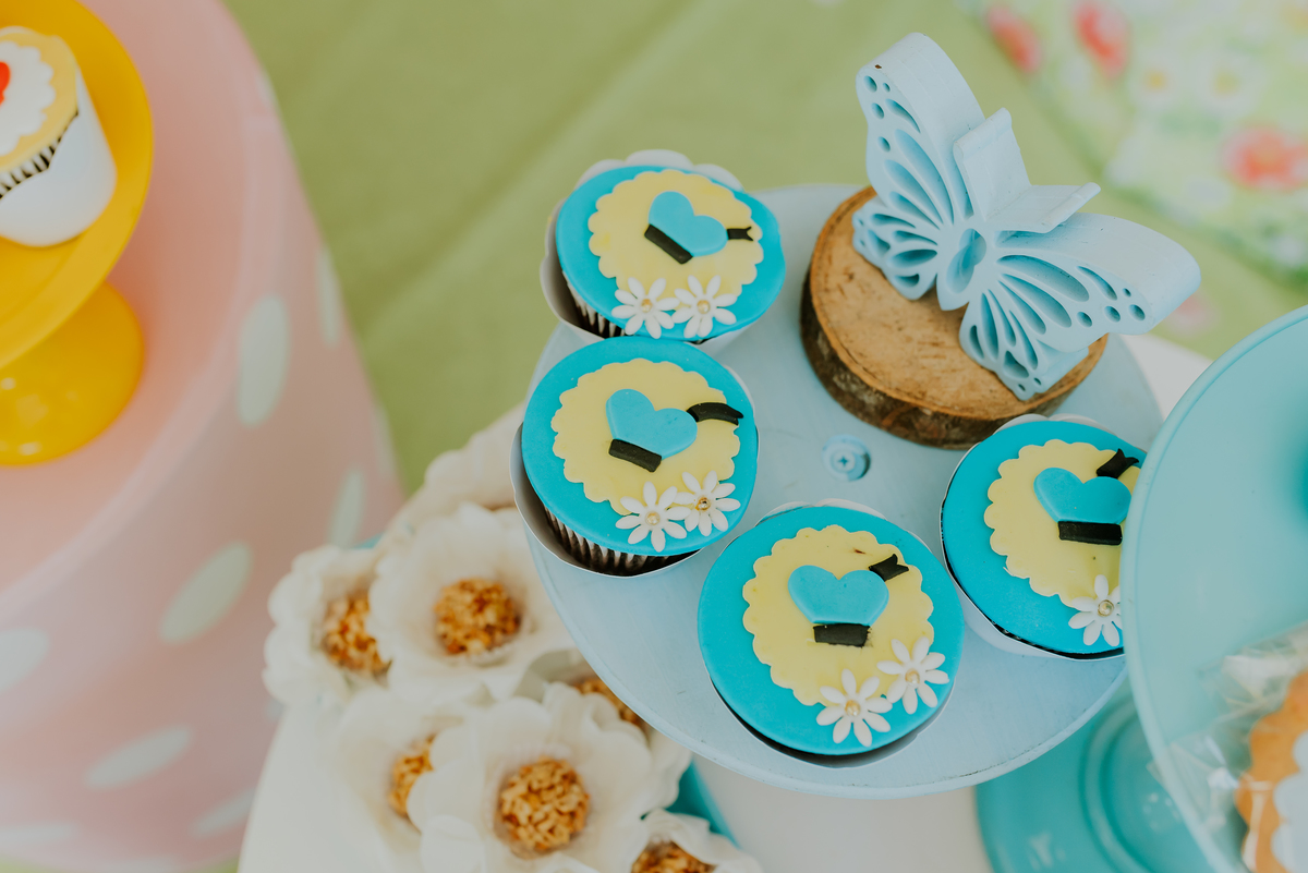 fotografia festa infantil galeto ilha do governador Rio de Janeiro 3 anos Manuela tema mickey e Minnie fotografa familia 