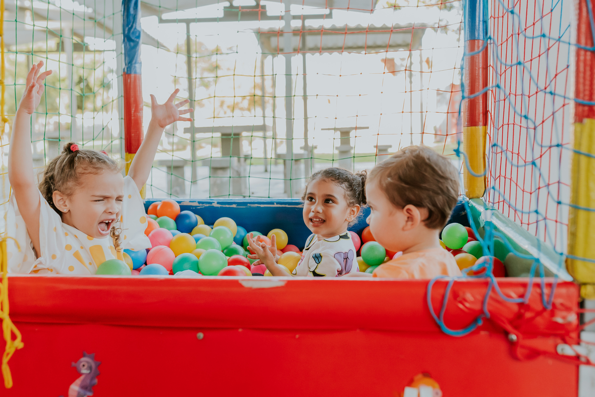 fotografia festa infantil galeto ilha do governador Rio de Janeiro 3 anos Manuela tema mickey e Minnie fotografa familia 