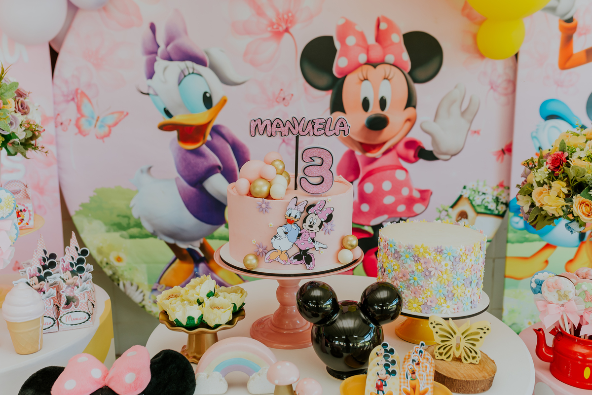 fotografia festa infantil galeto ilha do governador Rio de Janeiro 3 anos Manuela tema mickey e Minnie fotografa familia 