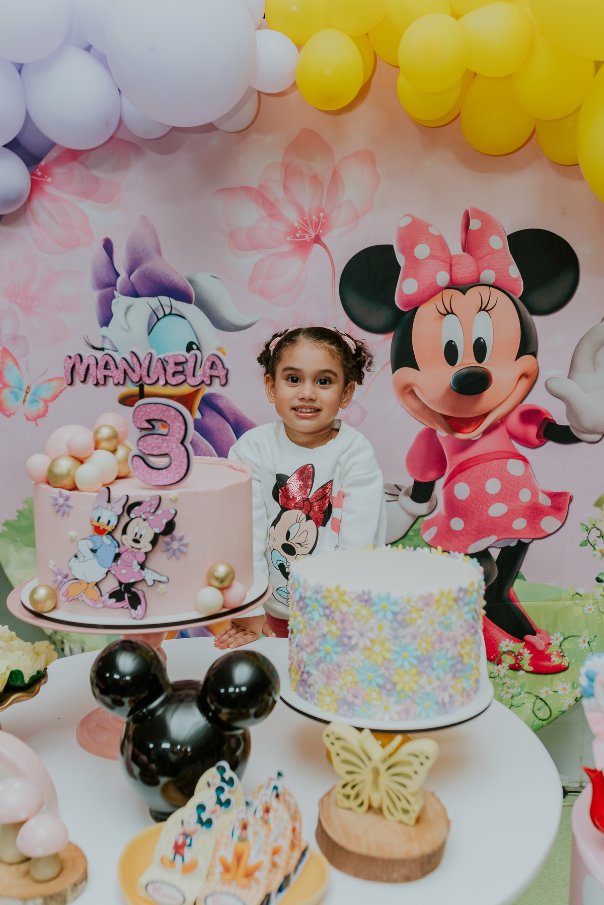fotografia festa infantil galeto ilha do governador Rio de Janeiro 3 anos Manuela tema mickey e Minnie fotografa familia 