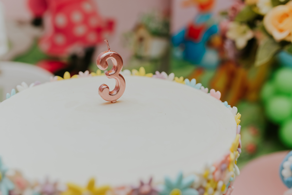 fotografia festa infantil galeto ilha do governador Rio de Janeiro 3 anos Manuela tema mickey e Minnie fotografa familia 