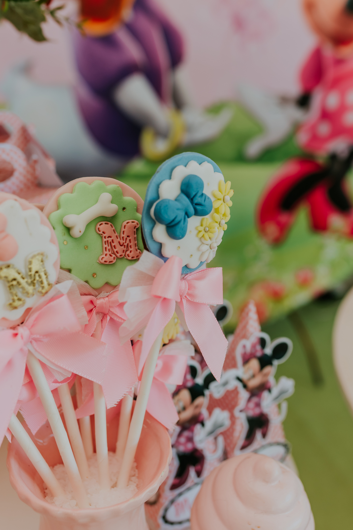 fotografia festa infantil galeto ilha do governador Rio de Janeiro 3 anos Manuela tema mickey e Minnie fotografa familia 