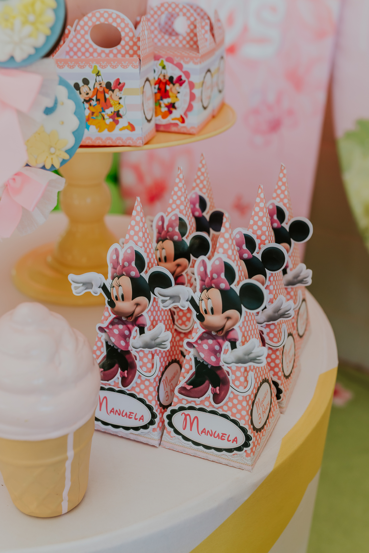 fotografia festa infantil galeto ilha do governador Rio de Janeiro 3 anos Manuela tema mickey e Minnie fotografa familia 