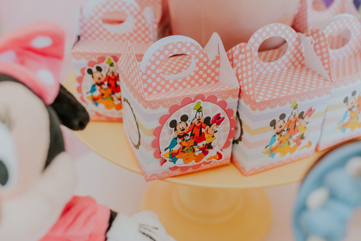 fotografia festa infantil galeto ilha do governador Rio de Janeiro 3 anos Manuela tema mickey e Minnie fotografa familia 