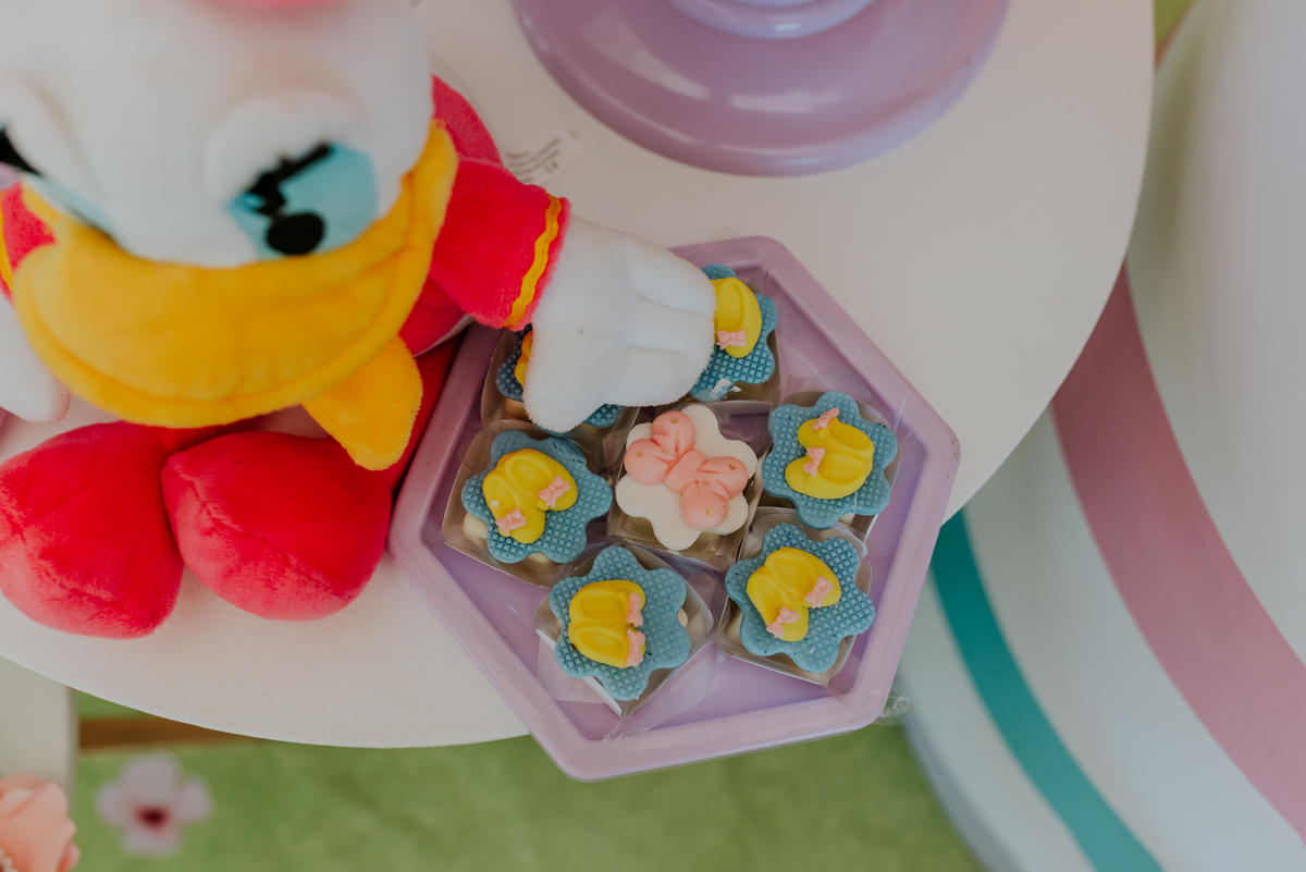 fotografia festa infantil galeto ilha do governador Rio de Janeiro 3 anos Manuela tema mickey e Minnie fotografa familia 