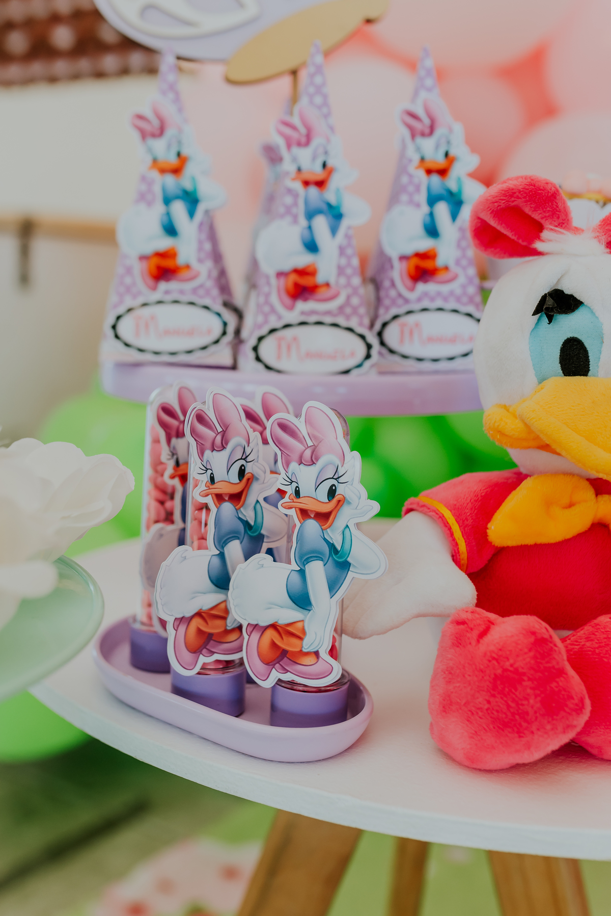 fotografia festa infantil galeto ilha do governador Rio de Janeiro 3 anos Manuela tema mickey e Minnie fotografa familia 