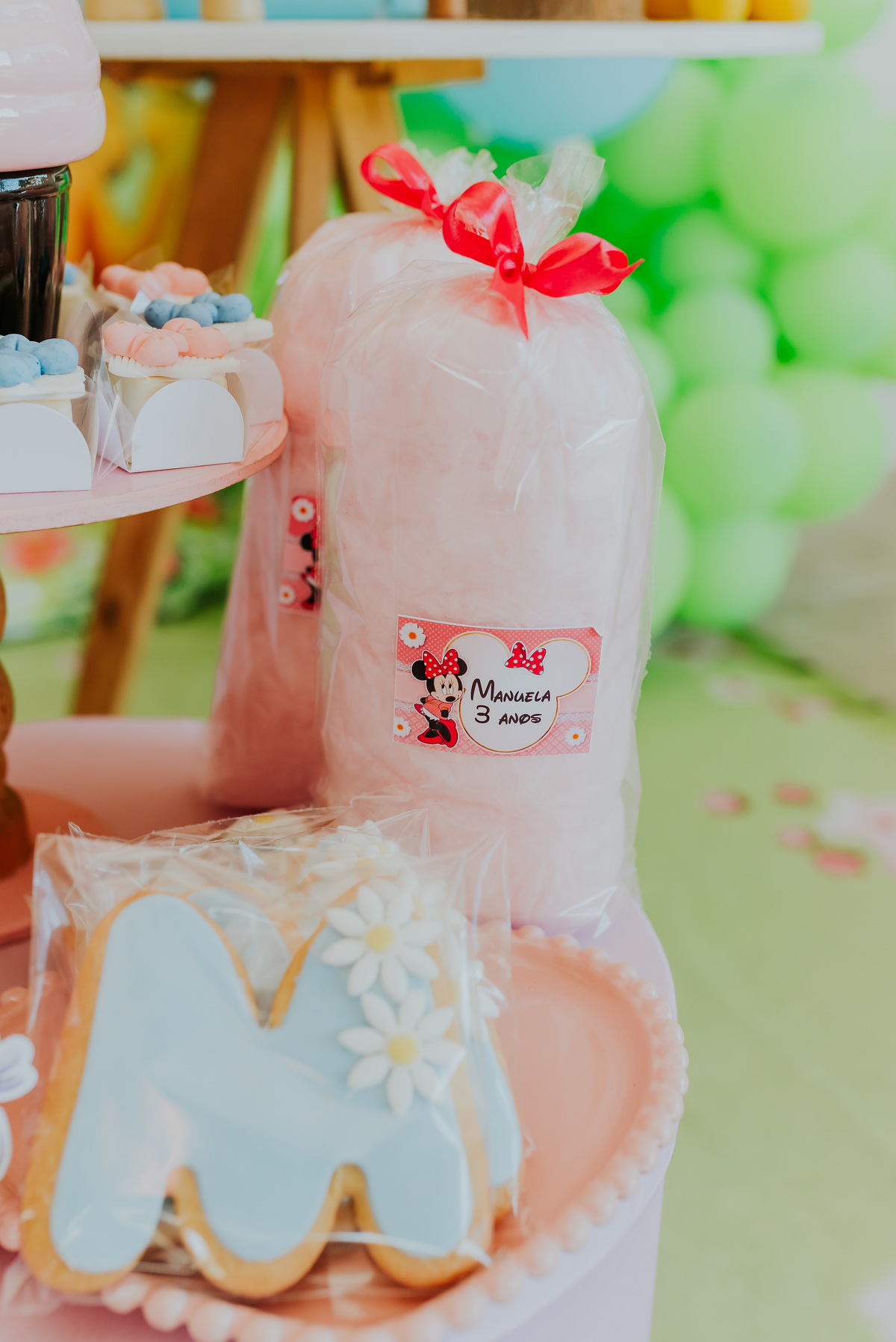 fotografia festa infantil galeto ilha do governador Rio de Janeiro 3 anos Manuela tema mickey e Minnie fotografa familia 