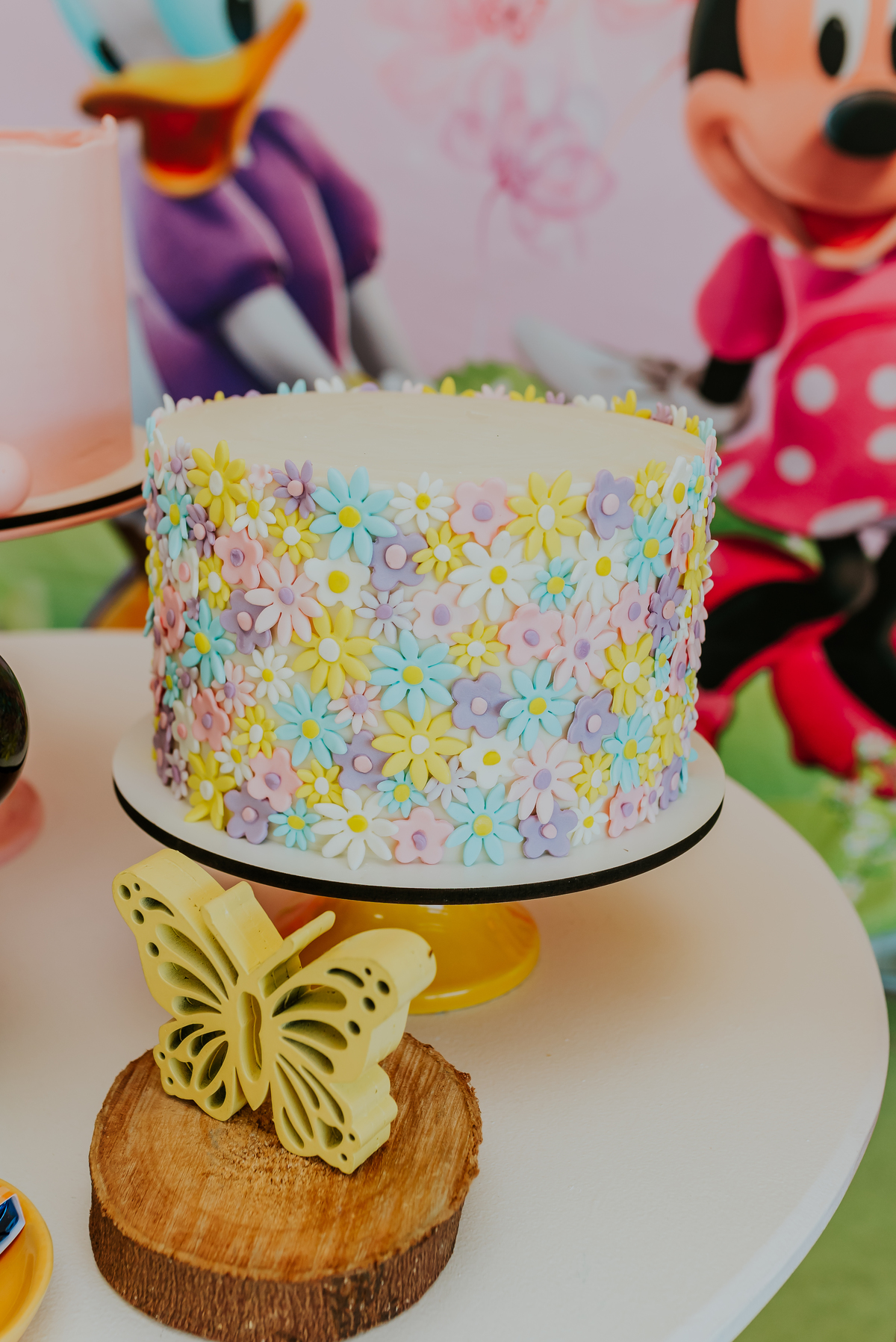 fotografia festa infantil galeto ilha do governador Rio de Janeiro 3 anos Manuela tema mickey e Minnie fotografa familia 