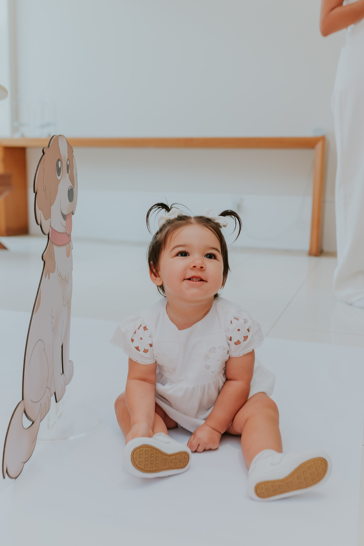 festa infantil fotografia barra da Tijuca fotografa familia 1 ano helena Rio de Janeiro bruna Guerson tema raio de sol 