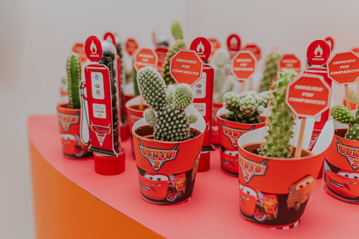 fotografia festa infantil 2 anos bento tema carros Meier Rio de Janeiro fotografa familia bruna Guerson 