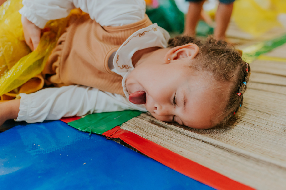 fotografia festa infantil 3 anos Julia Joana gemas tema tres porquinhos barra da Tijuca Rio de Janeiro fotografa familia bruna Guerson 